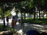 IMG_3060 - Copy